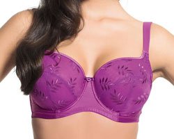 Bra Fitting