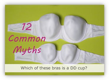 12 Common myths