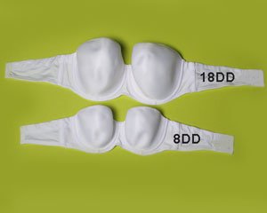 12 dd bra size