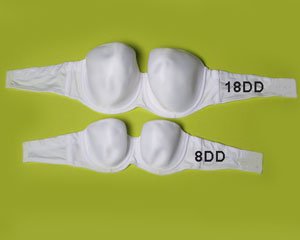 DD Cup Bra Size: Understanding DD Cup, Boobs and Breast Size