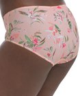 Kayla Brief (Peach Melba) by Goddess