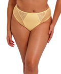 Charley Brief (Lemon Fizz) by Elomi