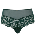 Allure Deep Brief (Forest Green) by Panache