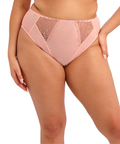 Zarla High Leg Brief (Rose Bud) by Elomi
