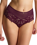 Allure Deep Brief (Plum) by Panache